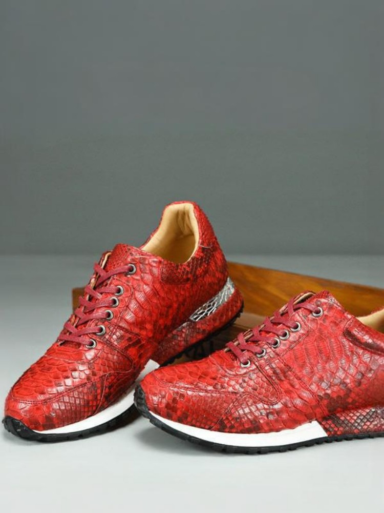 Concise Solid Color Snakeskin  - Crossfit Male recension och pris