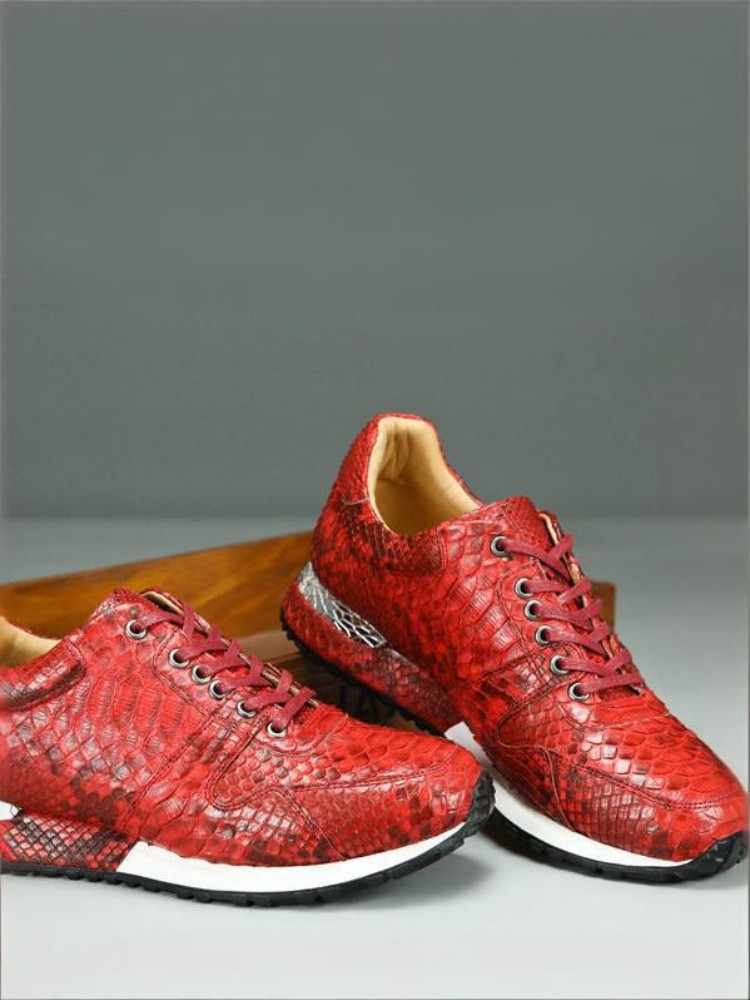 Concise Solid Color Snakeskin  - Crossfit Male recension och pris